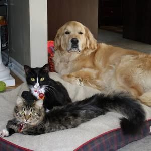 Meet your Posher, Shana